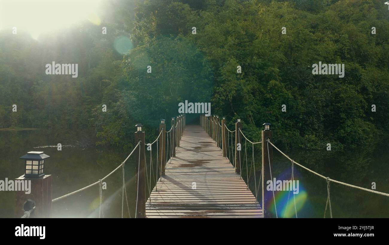 Footbridge leading lush forest hi-res stock photography and images - Alamy
