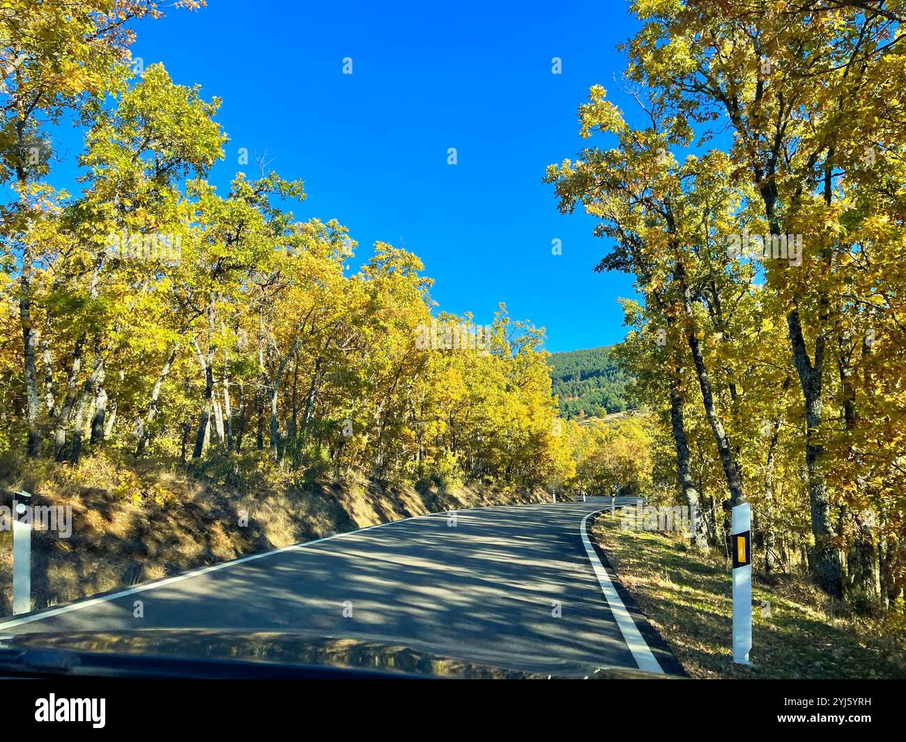 Road in Autumn. Riaza, Segovia province, Castilla Leon, Spain. - Smartphone Captured Stock Image