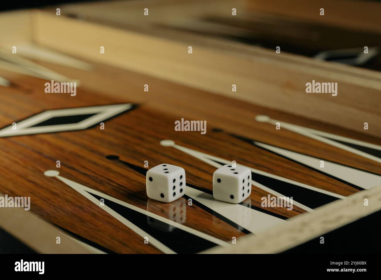 Backgammon game with dices on wooden board. Stock Photo