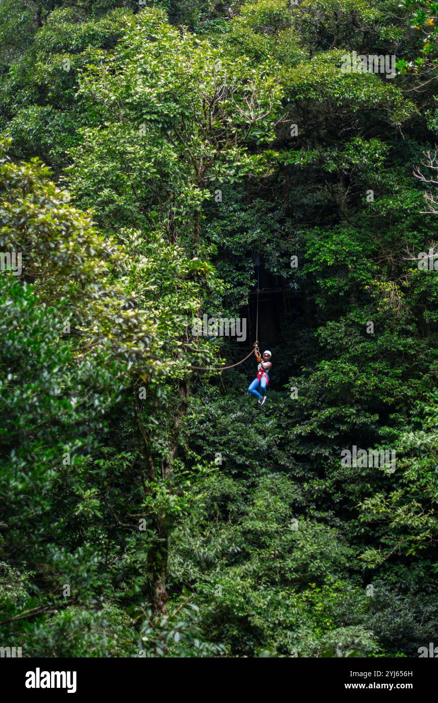 Jungle canopy zip lining hi-res stock photography and images - Alamy