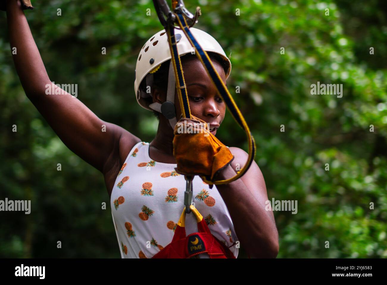 Jungle canopy zip lining hi-res stock photography and images - Alamy