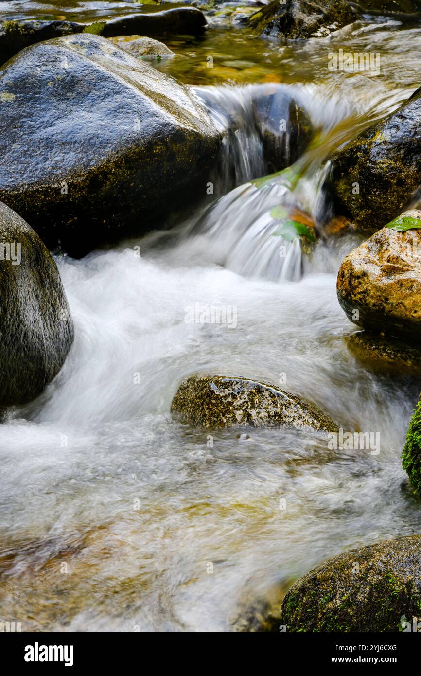 Mountain stream of clean water falls in small waterfall between river rocks Stock Photo