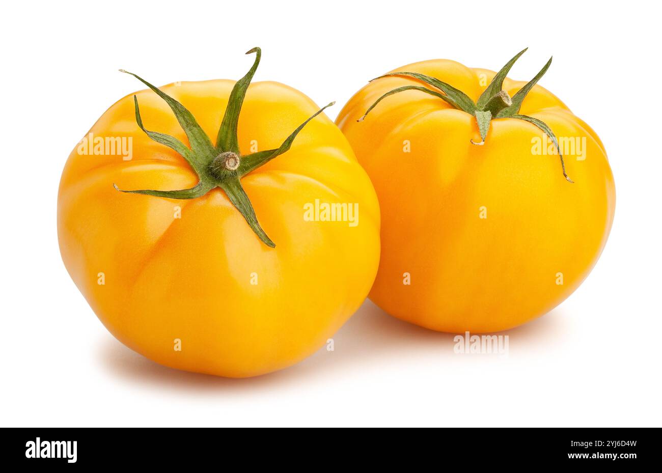 yellow tomato path isolated on white Stock Photo