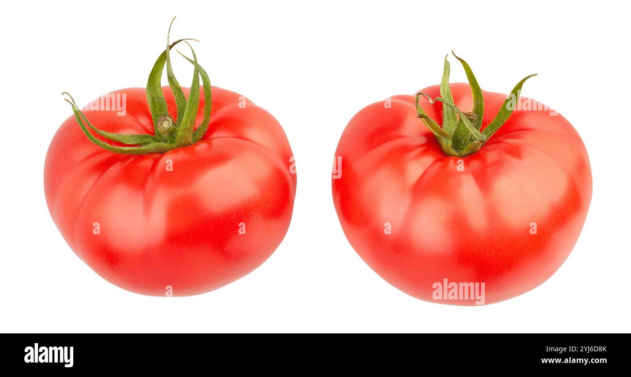 tomato path isolated on white Stock Photo
