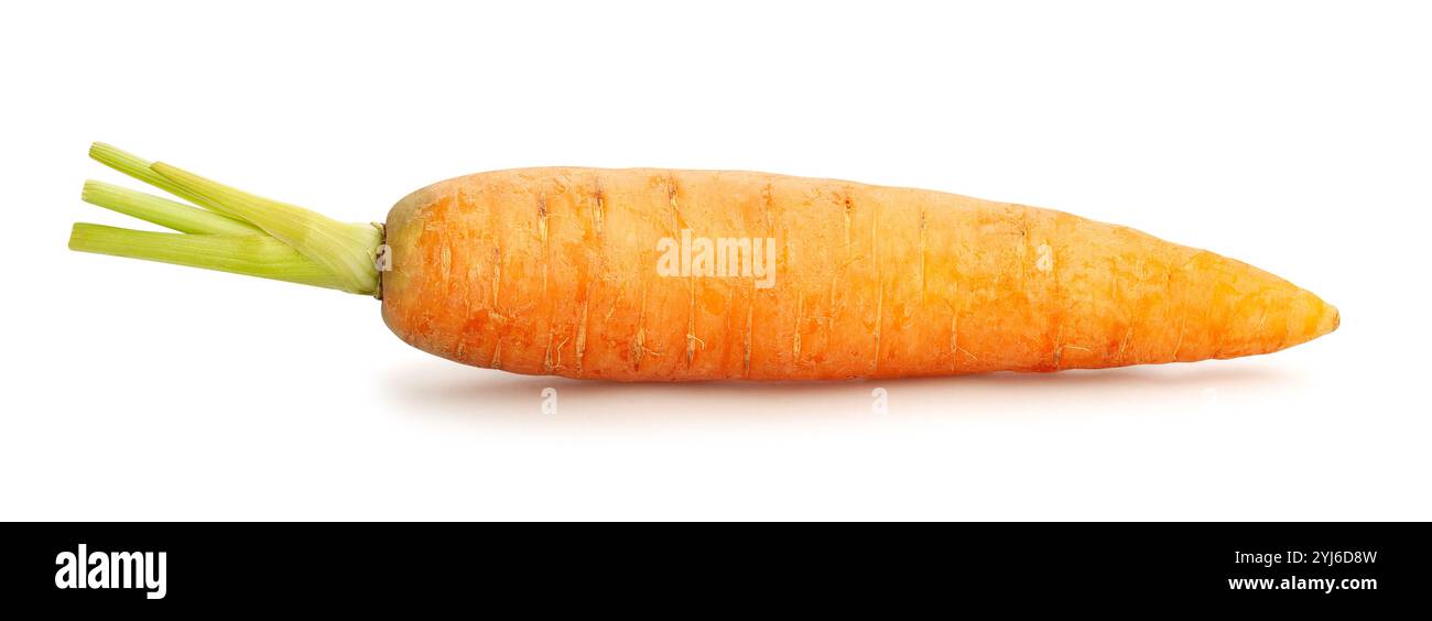 carrot path isolated on white Stock Photo