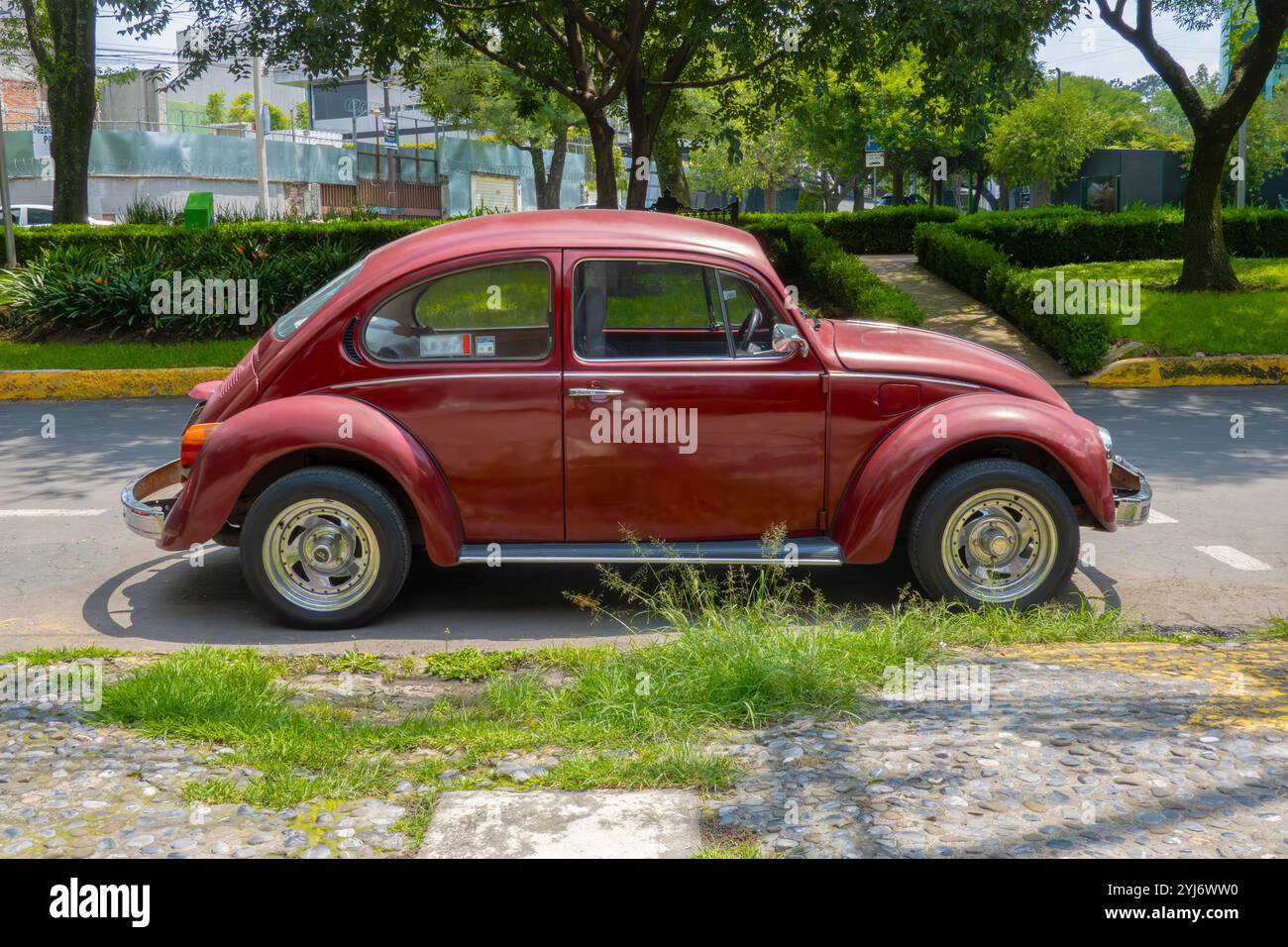 VolksWagen Beetle Mexico City, Mexico Stock Photo