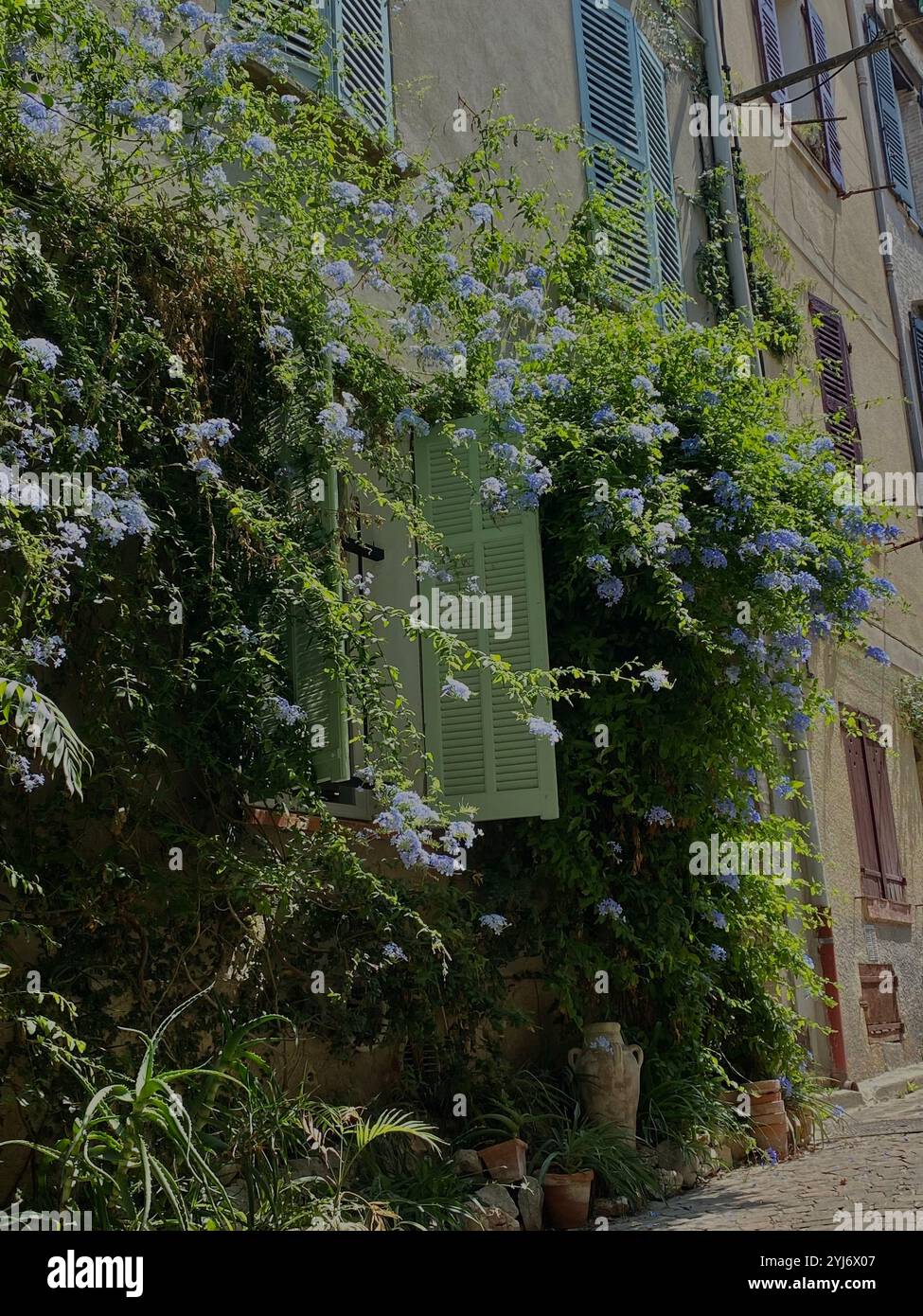 south of France aesthetic - Smartphone Captured Stock Image