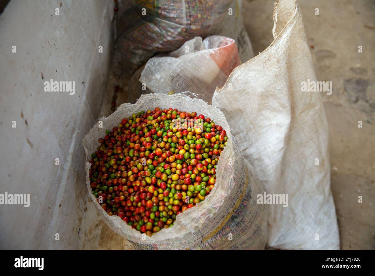 coffee beans in a sack Stock Photo - Alamy