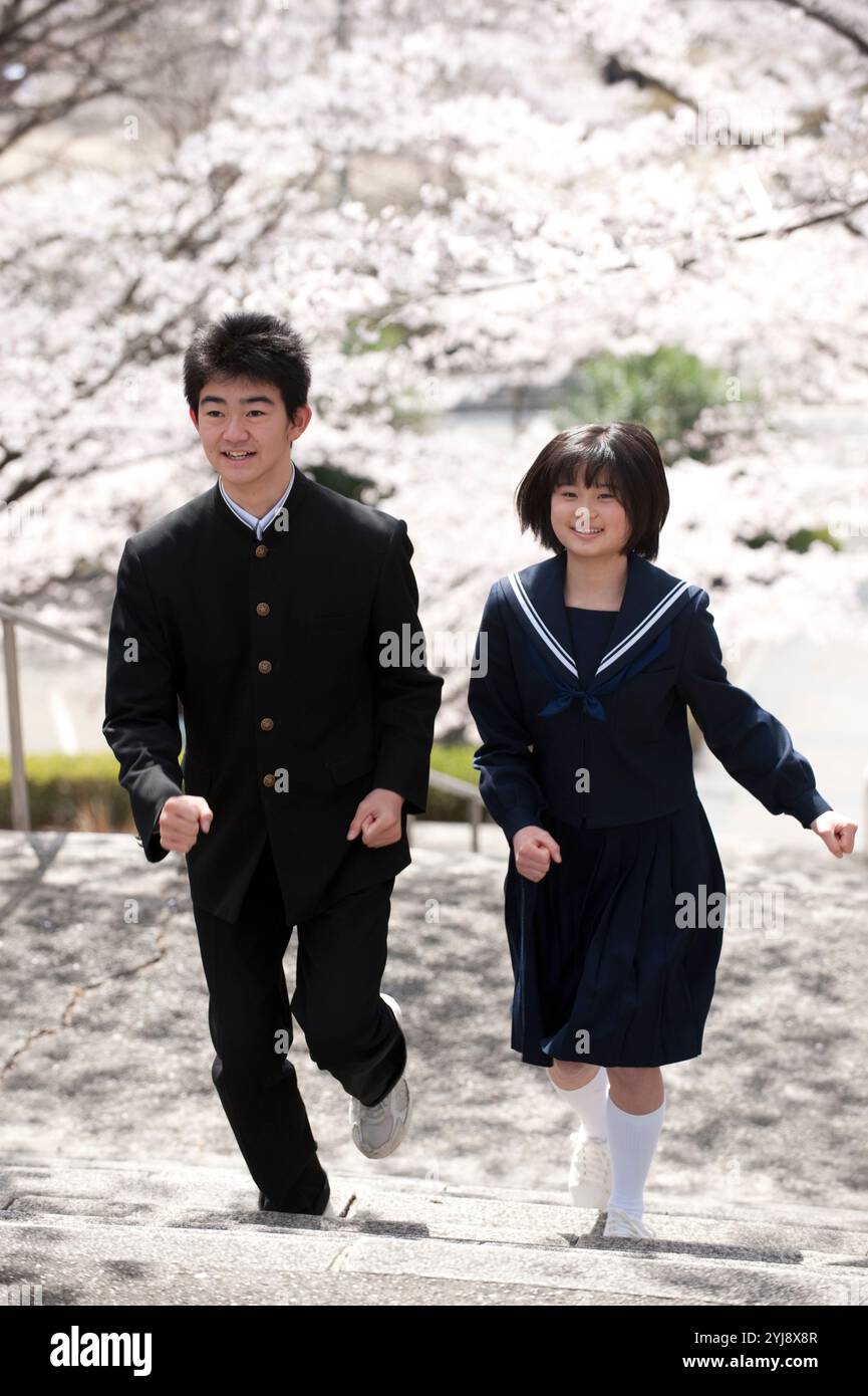Cherry blossoms and male and female junior high school students Stock ...