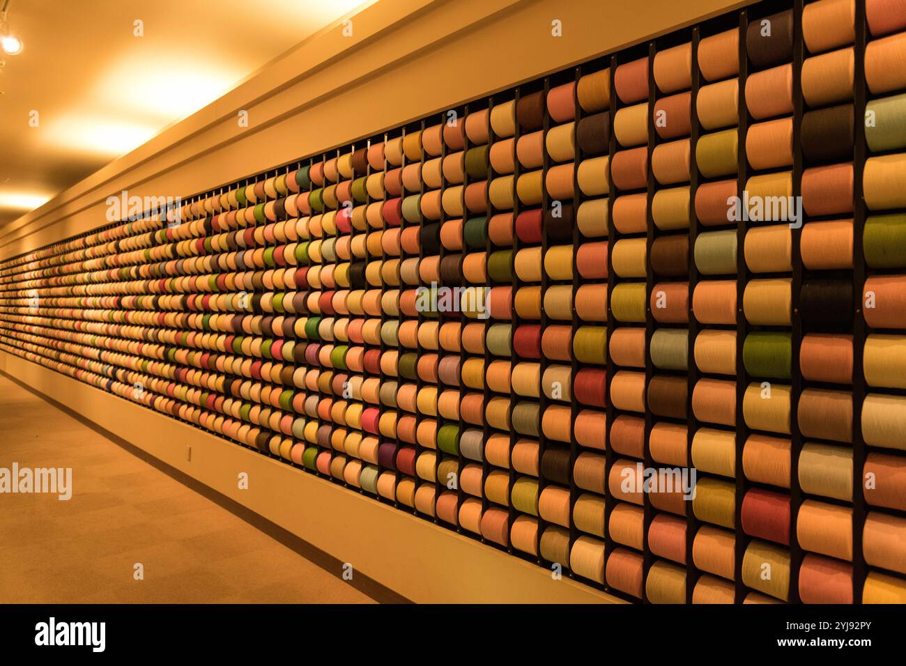 Thread Looks Like Thread like fiber hi-res stock photography and images - Alamy