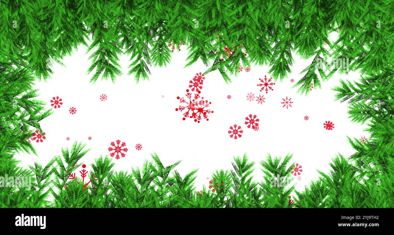 Eye catching tree vector hi-res stock photography and images - Alamy