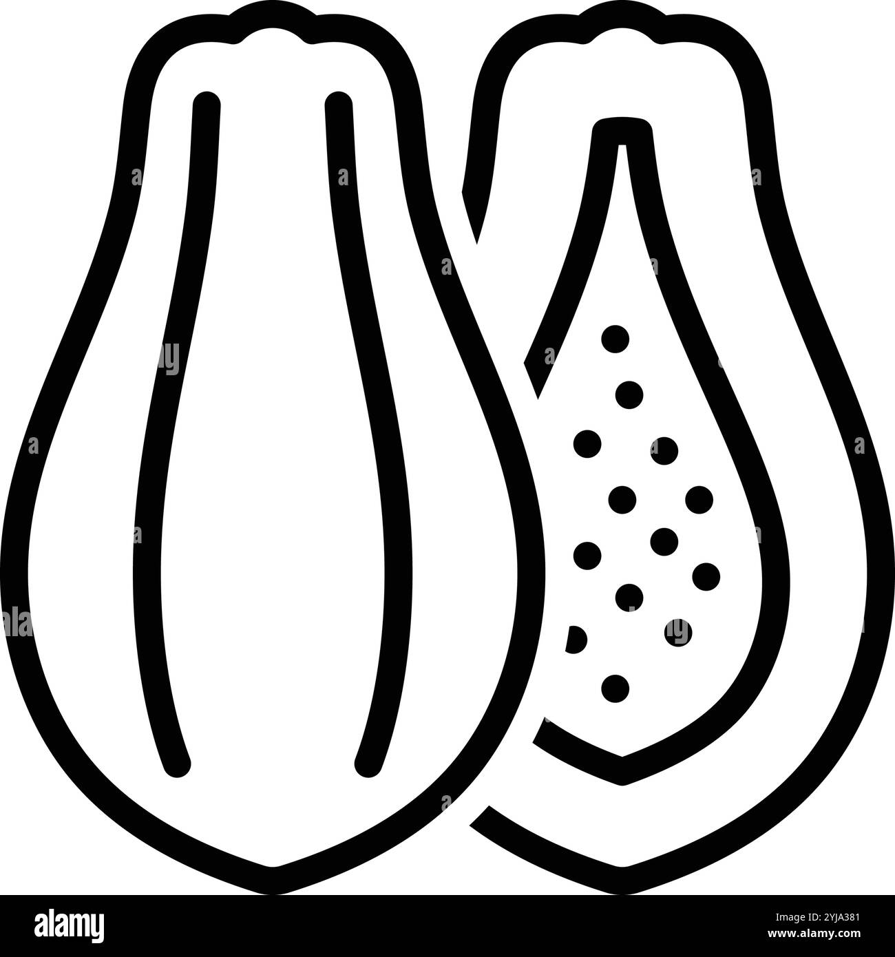 Icon for papaya, carica Stock Vector