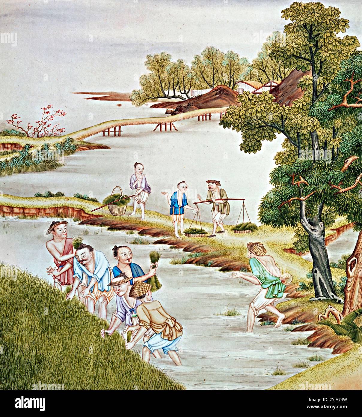 'Chinese farmers harvesting rice'. Museum: FREE LIBRARY, BUDAPEST, USA ...