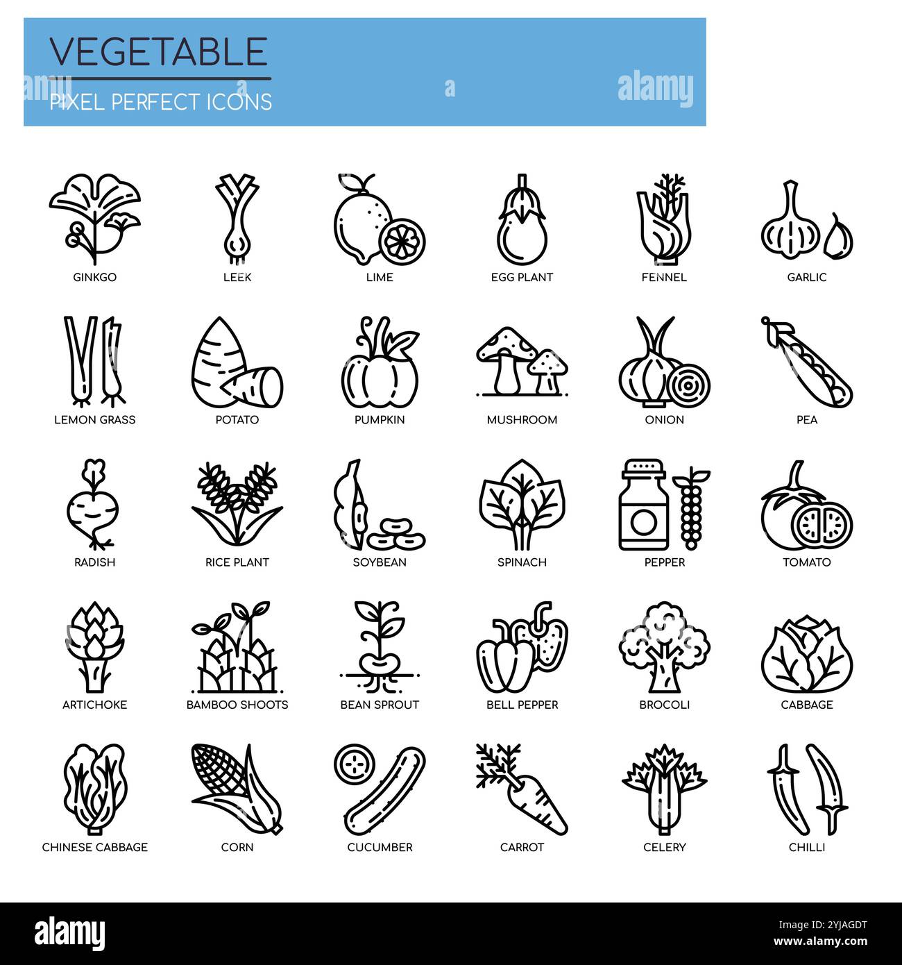Set of Black and White Thin Line Vegetable Icons Stock Vector Image ...