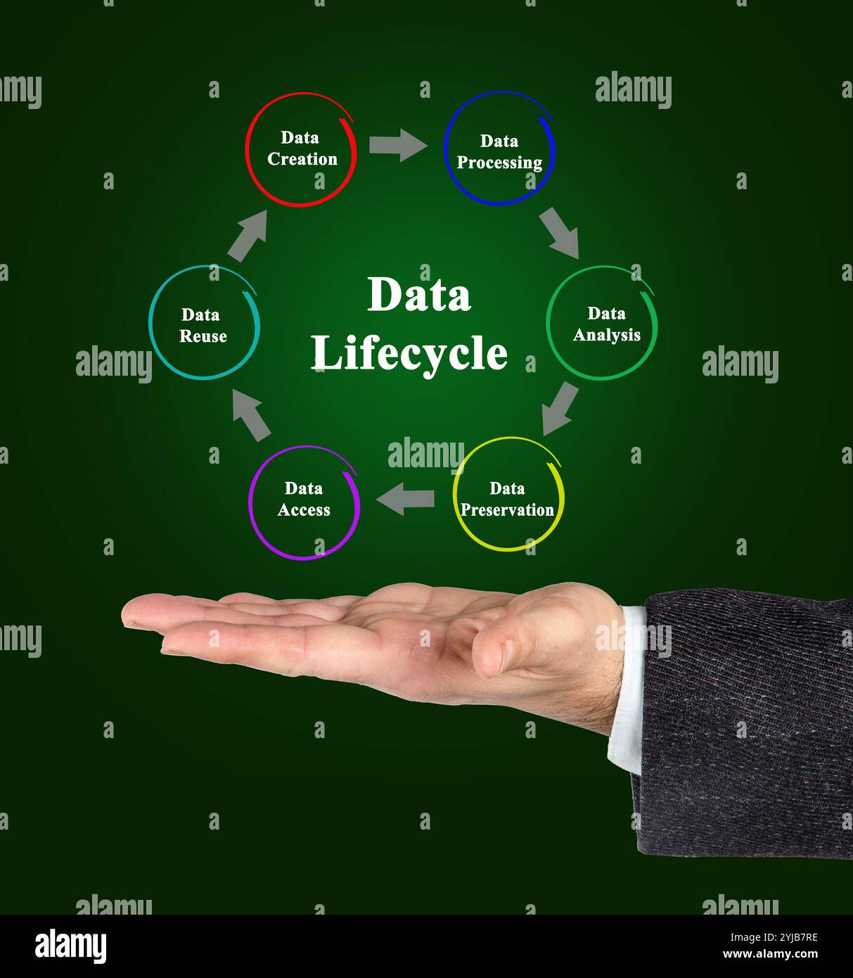 Stages data life cycle hi-res stock photography and images - Alamy