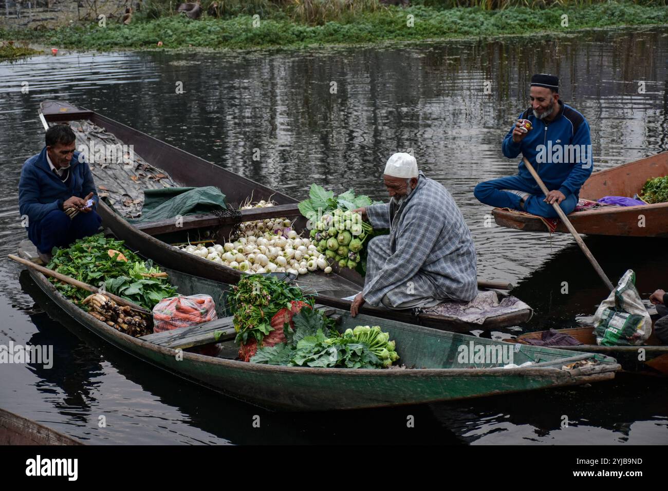 Srinagar, India. 14th Nov, 2024. Vegetable vendors assemble at a floating market in the interior of Dal lake during a cold autumn morning in Srinagar, the summer capital of Jammu and Kashmir. Dal Lake is famed for its floating vegetable market which supplies varieties of vegetables all year to many towns across the Kashmir valley. This floating vegetable market comprises of many floating gardens as well as local varieties of organic vegetables. It is one of the very famous floating markets in the world. Credit: SOPA Images Limited/Alamy Live News Stock Photo