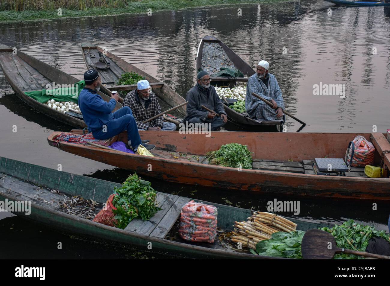 Srinagar, India. 14th Nov, 2024. Vegetable vendors assemble at a floating market in the interior of Dal lake during a cold autumn morning in Srinagar, the summer capital of Jammu and Kashmir. Dal Lake is famed for its floating vegetable market which supplies varieties of vegetables all year to many towns across the Kashmir valley. This floating vegetable market comprises of many floating gardens as well as local varieties of organic vegetables. It is one of the very famous floating markets in the world. (Photo by Saqib Majeed/SOPA Images/Sipa USA) Credit: Sipa USA/Alamy Live News Stock Photo