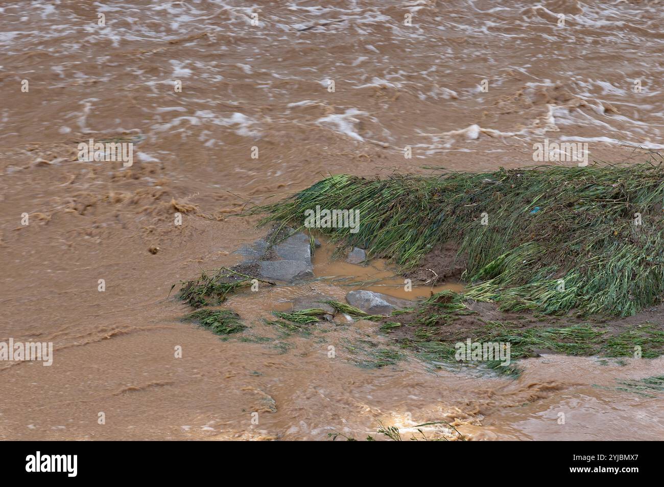 A striking photo of a muddy river flowing rapidly, with rocks covered in grass scattered throughout. The swift current and turbulent water depict a po Stock Photo