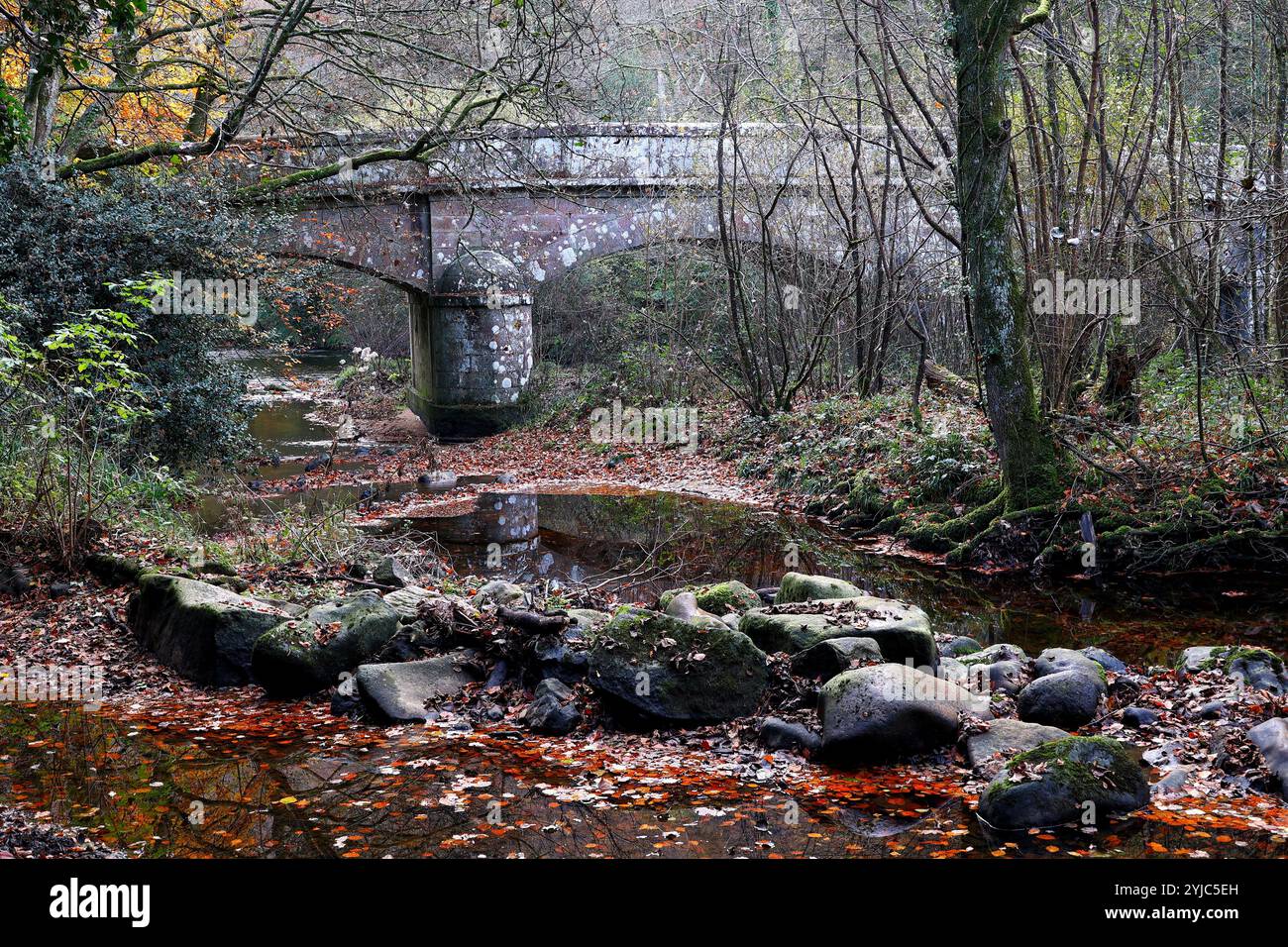 Teign valley bridge scene hi-res stock photography and images - Alamy