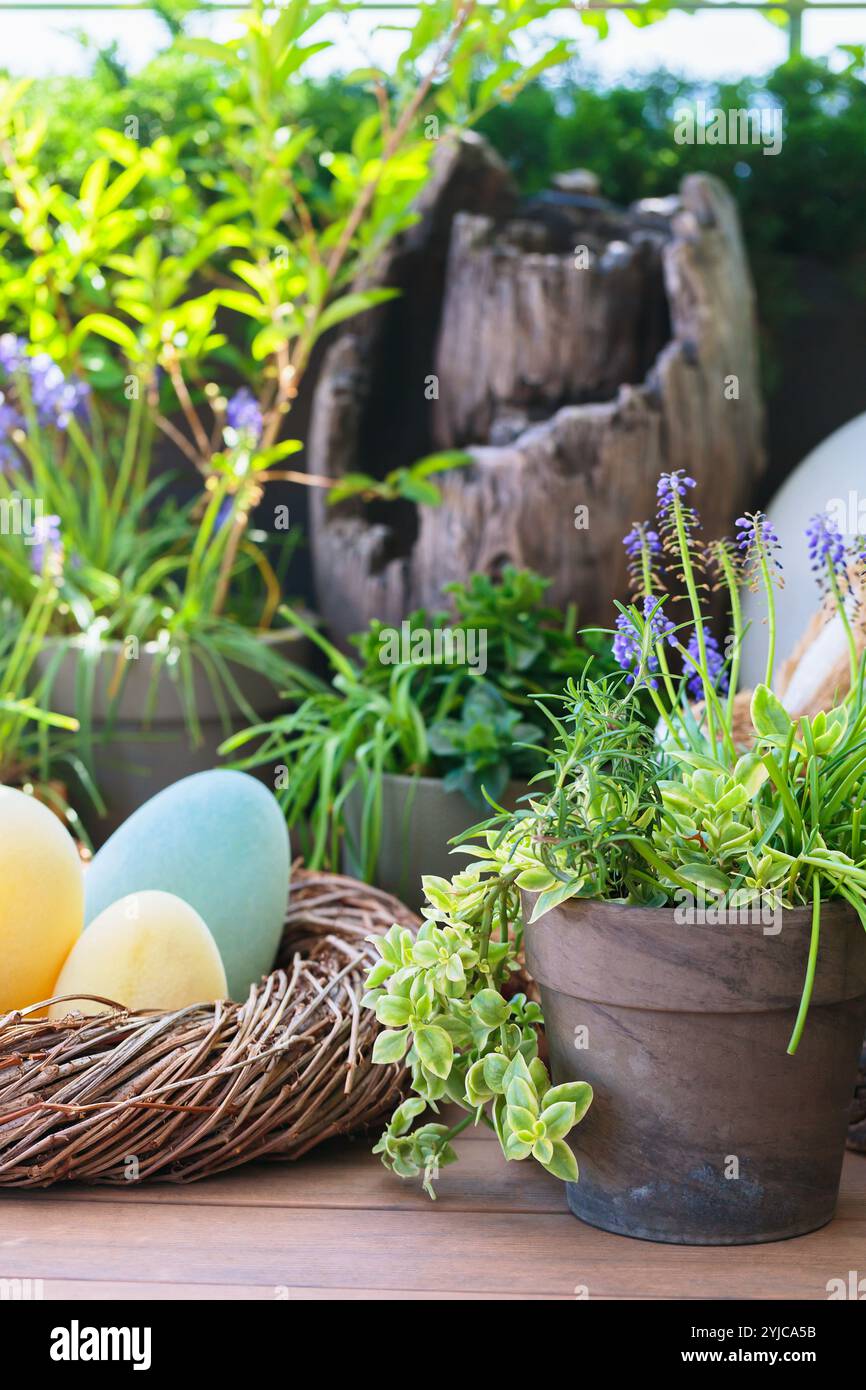 Easter Decor with Colorful Eggs and Spring Plants Stock Photo