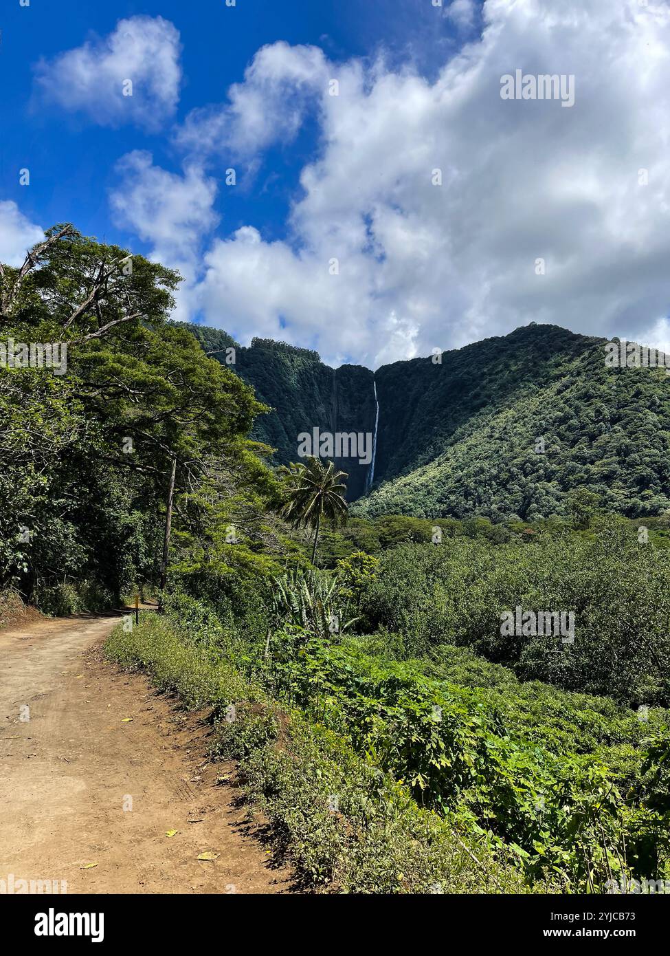 A dirt trail leads through the tropical forest with a lush mountain waterfall in the background. There's a bright blue sky and puffy white clouds. - Smartphone Captured Stock Image