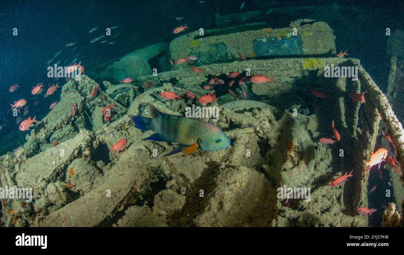cargo inside wreck of ss thistlegorm red sea Stock Photo - Alamy