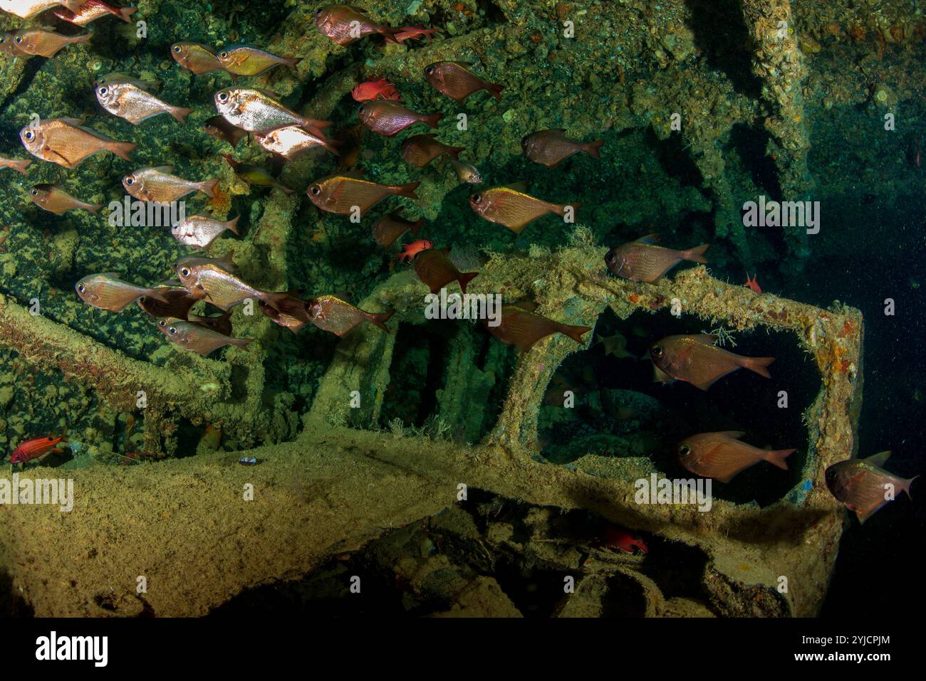 cargo inside wreck of ss thistlegorm red sea Stock Photo - Alamy