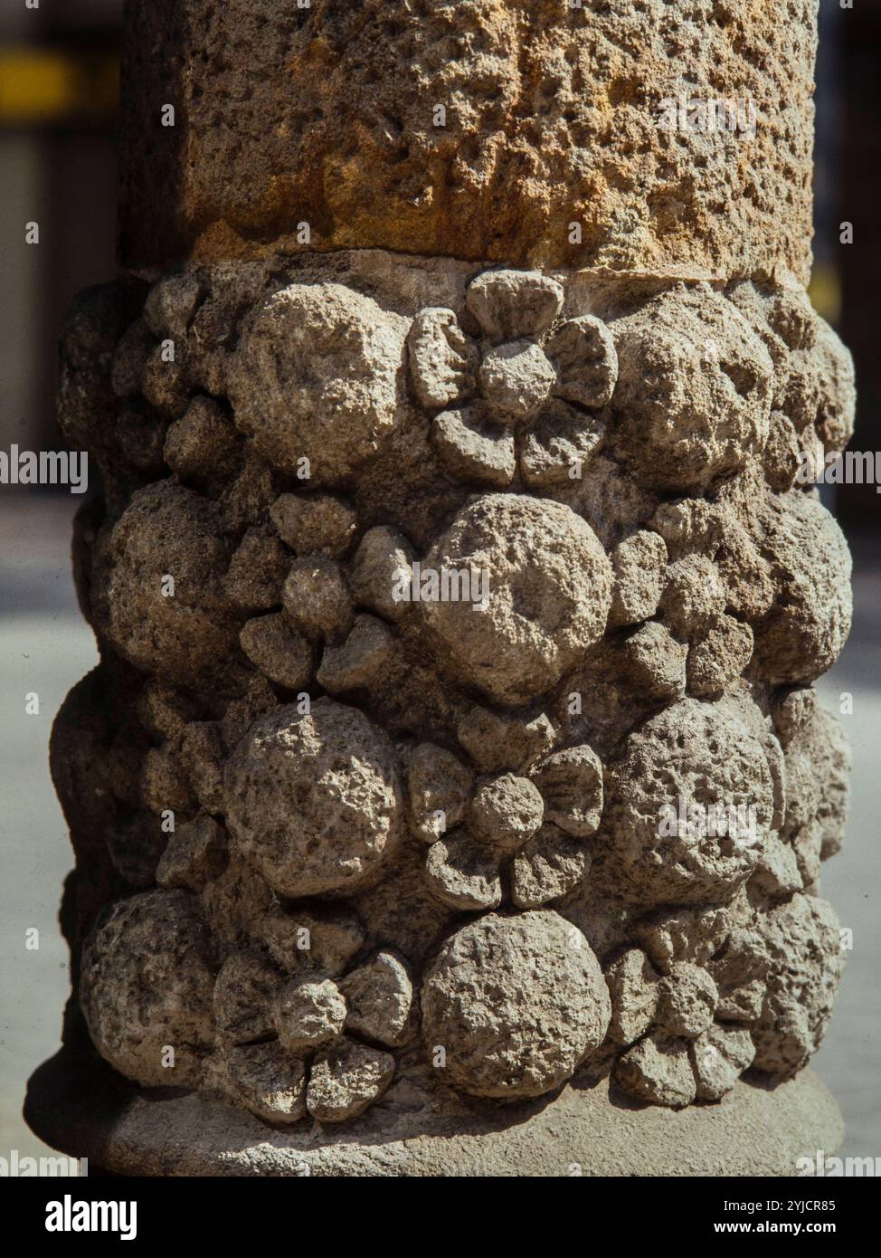Planta en columna de planta hi-res stock photography and images - Alamy