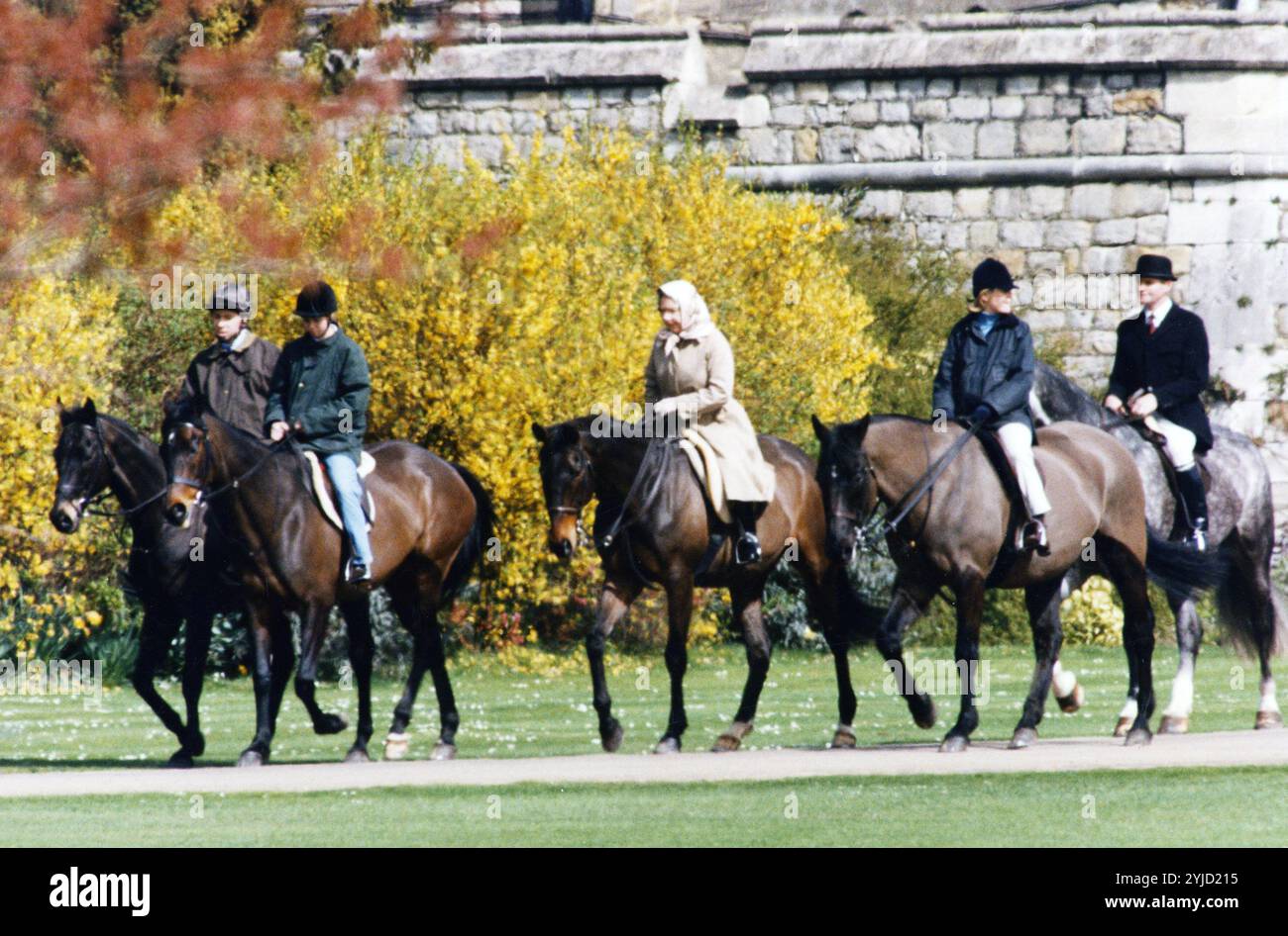 Swimming News, image size:1300x946