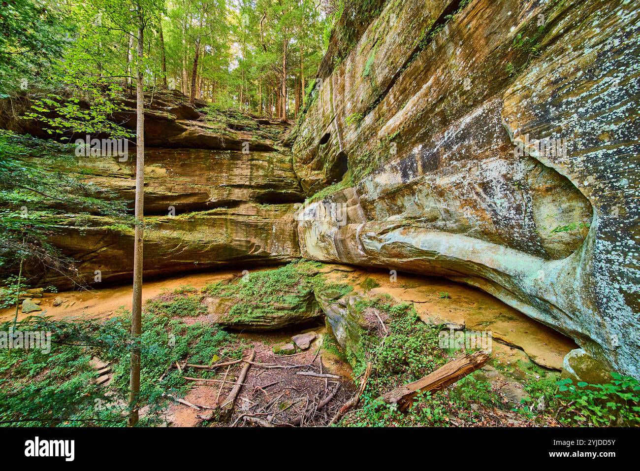 Ancient Rock Formations in Hocking Hills Forest Eye-Level View Stock ...
