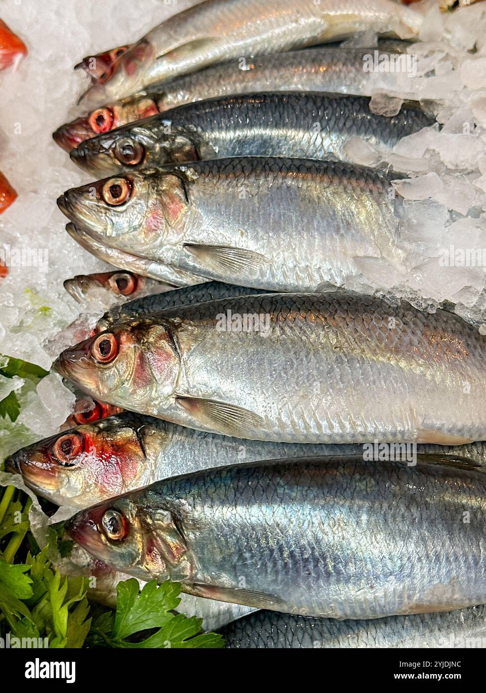 Fresh fish on ice on a market stall - Smartphone Captured Stock Image
