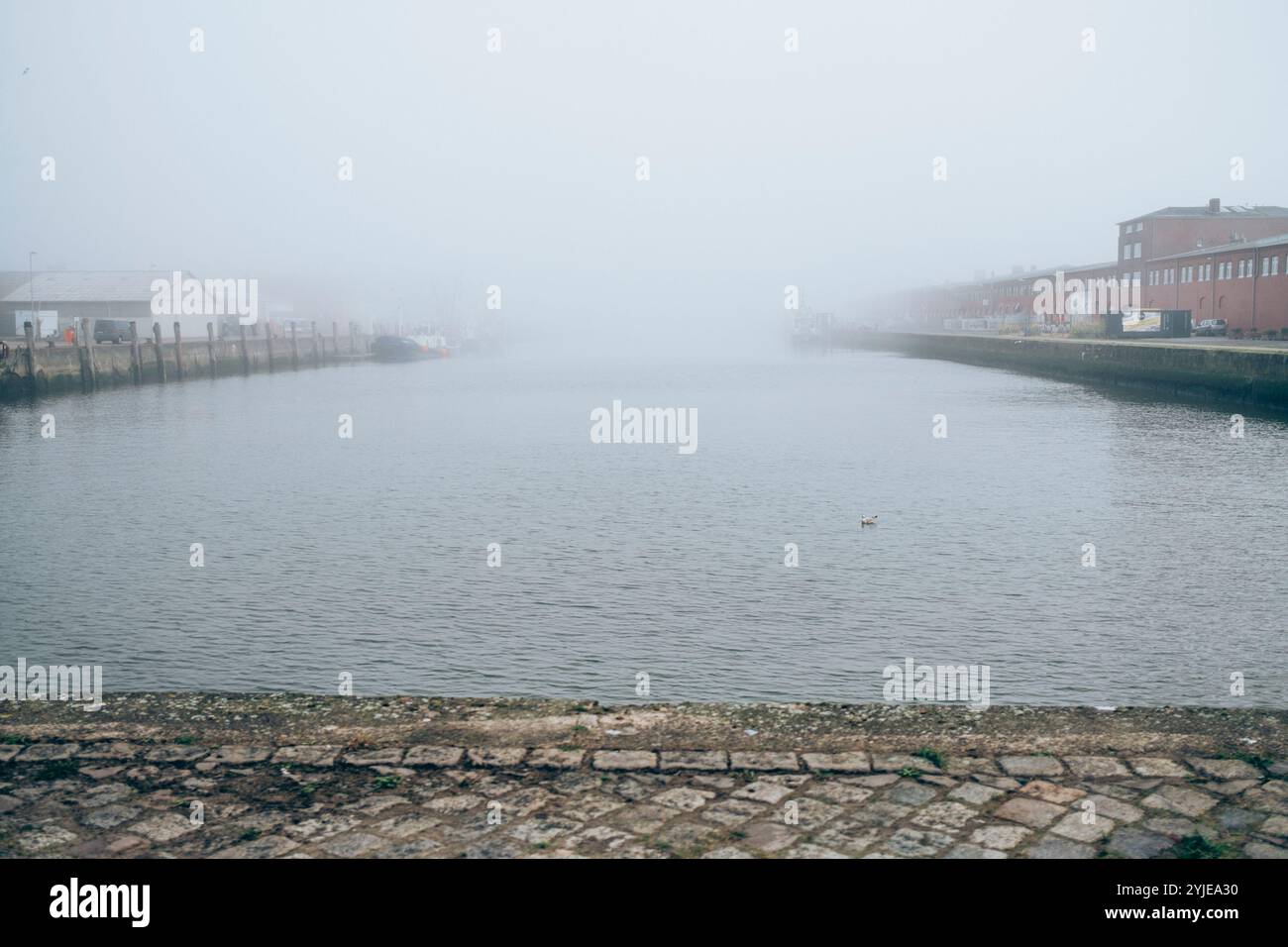 bilder von o cantinho cuxhaven