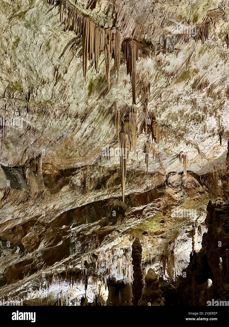 A photography captures a close-up of vibrant stalactites within a secluded cave. - Smartphone Captured Stock Image