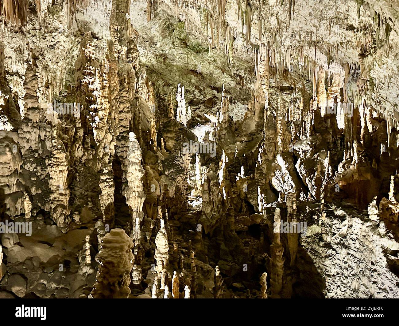 A photography captures a close-up of vibrant stalactites within a secluded cave. - Smartphone Captured Stock Image