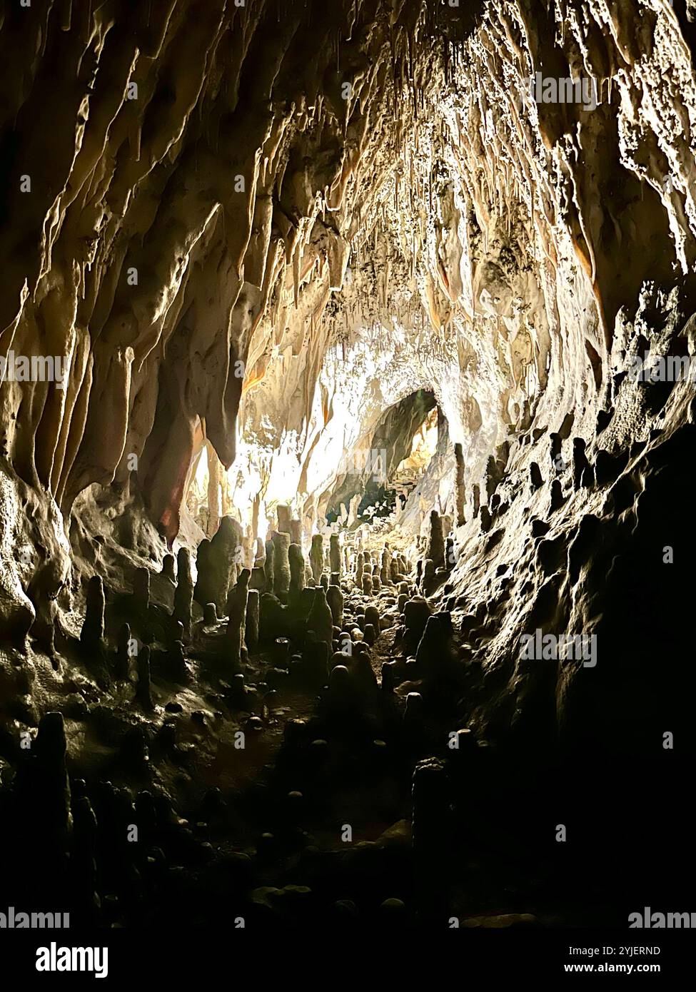 A photography captures a close-up of vibrant stalactites within a secluded cave. - Smartphone Captured Stock Image
