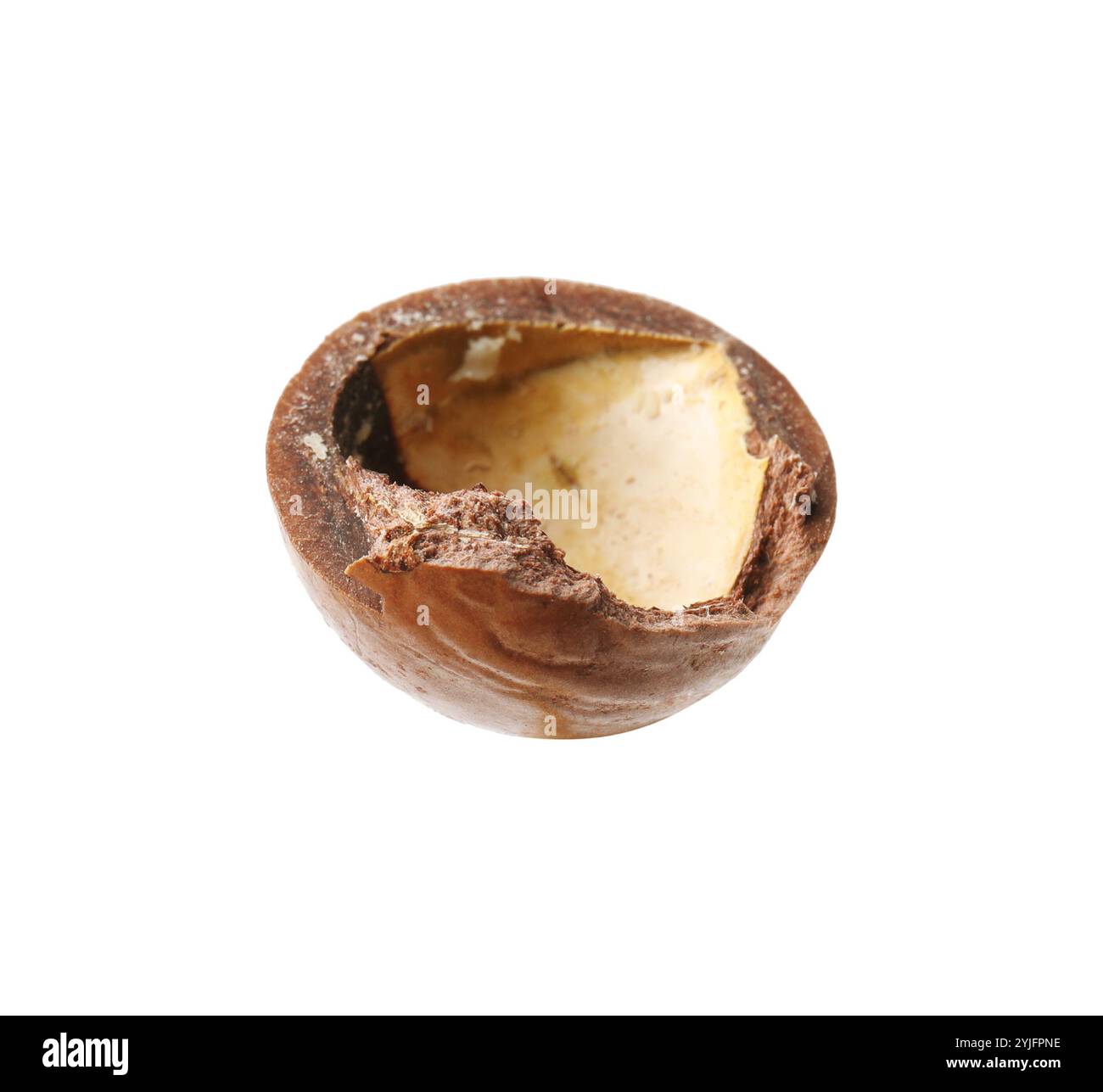 Part of macadamia nut shell isolated on white Stock Photo - Alamy