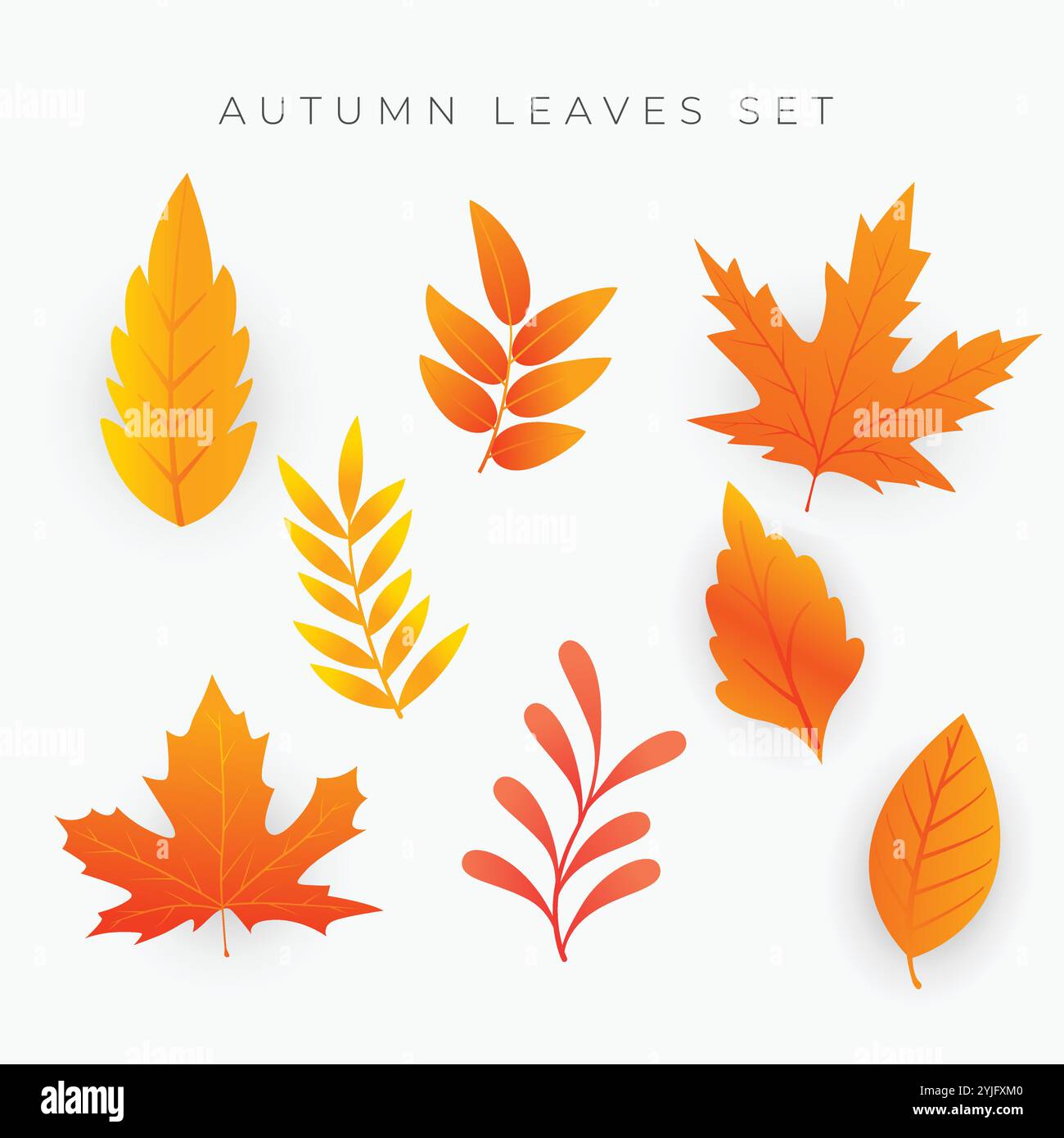 Orange autumn leaves Stock Vector Images - Alamy