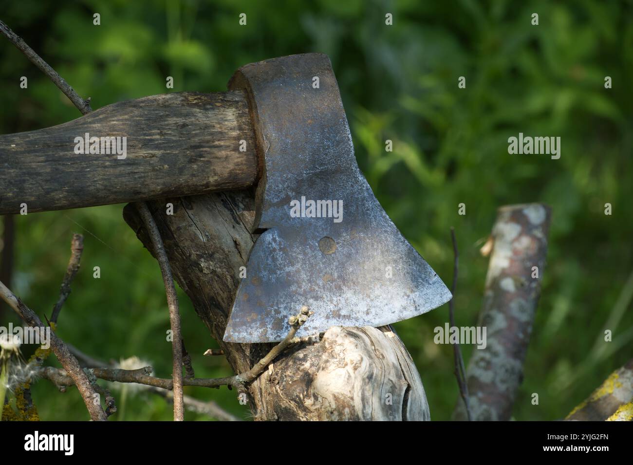 Outdoor wild survival wood tree hi-res stock photography and images - Alamy