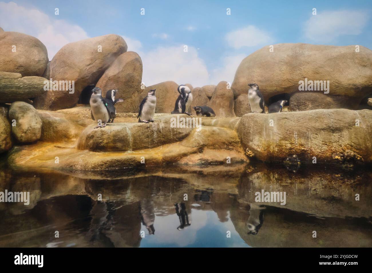 African science academy hi-res stock photography and images - Alamy