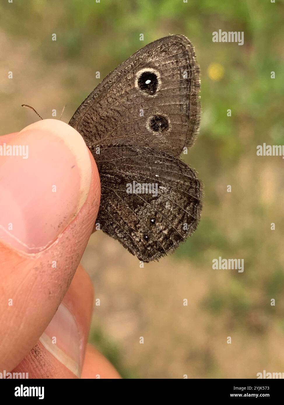 SMALL SQUARE CUSHION NOMADIC NYMPH main image 1