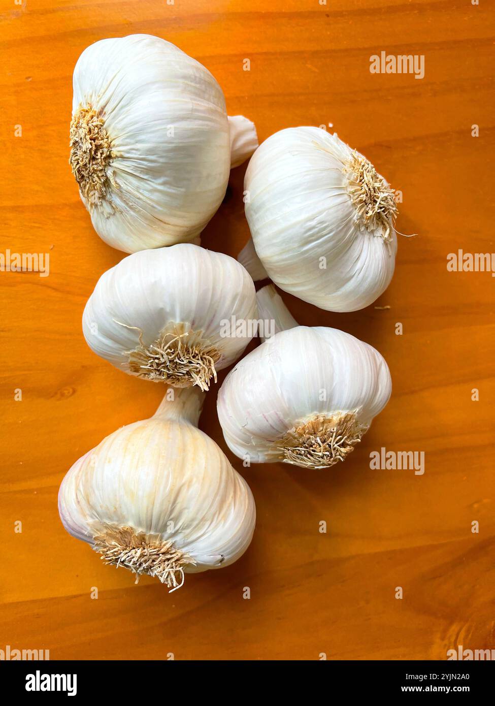 Garlics. Still life. - Smartphone Captured Stock Image