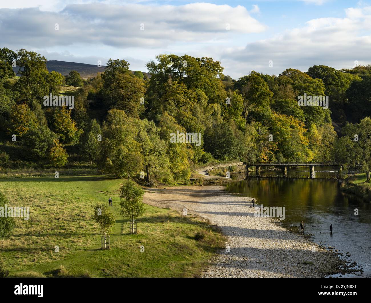 Gallery image with a fresh perspective