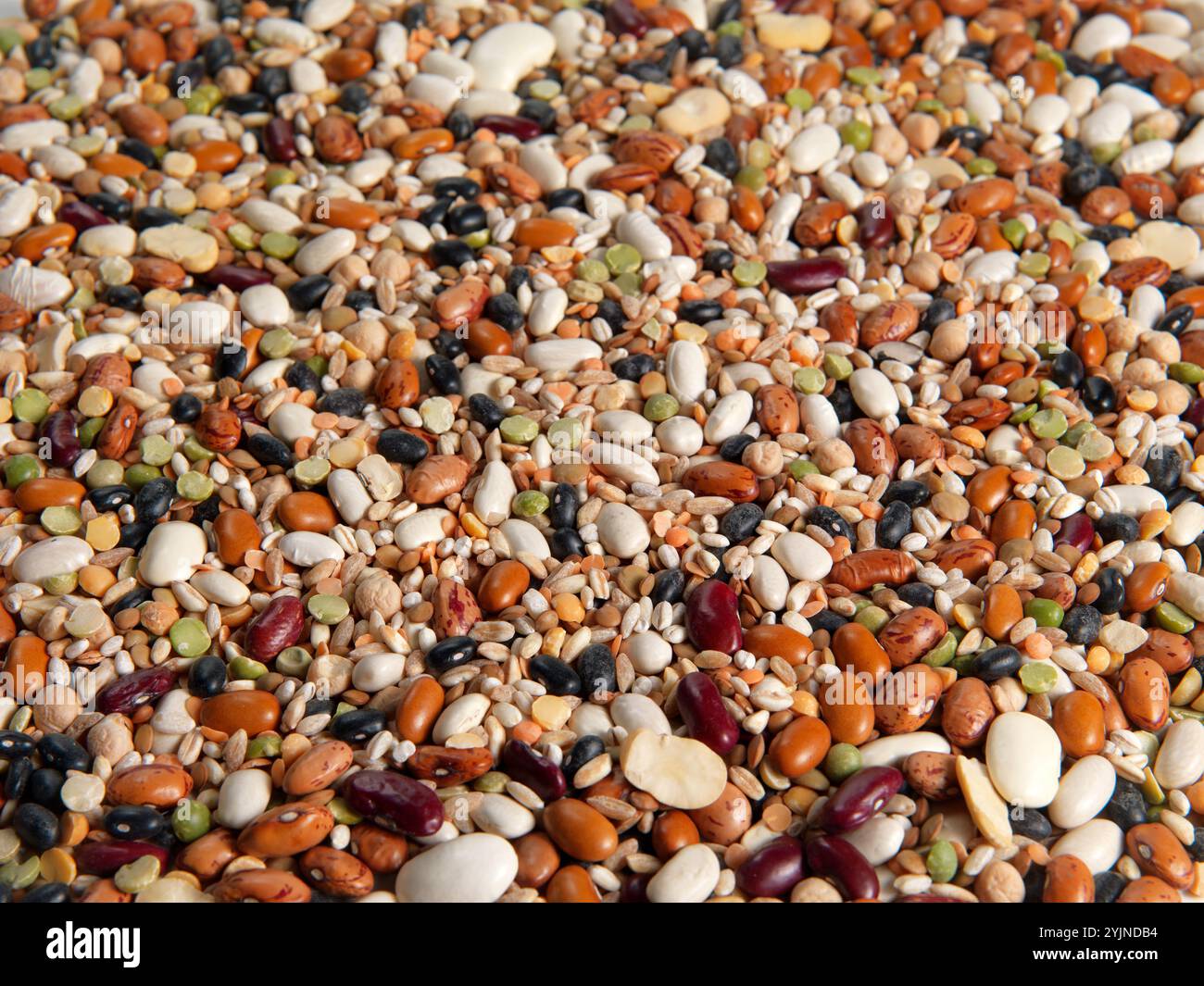 Various species of beans hi-res stock photography and images - Alamy