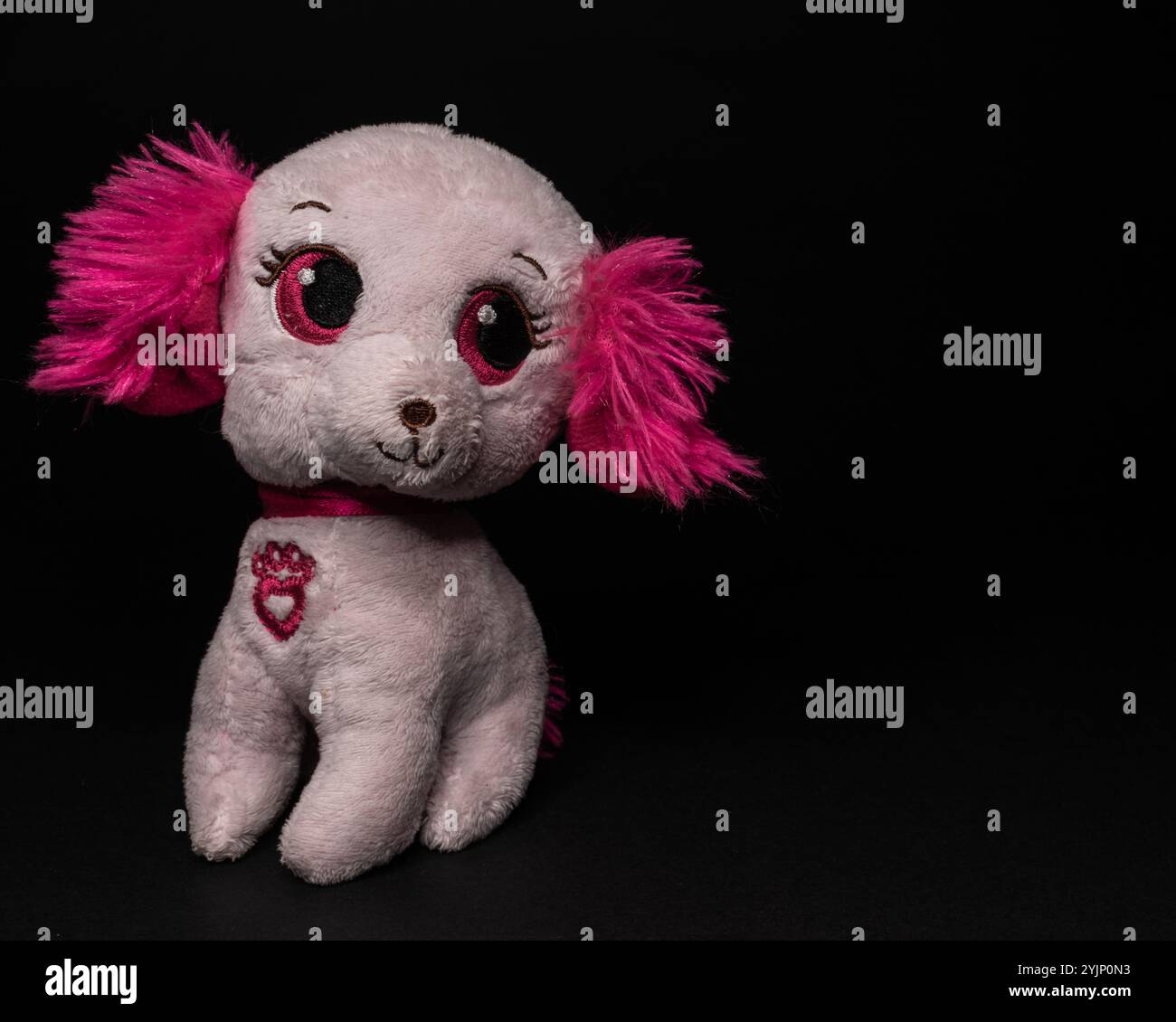 Pink stuffed puppy toy sitting on a black background with copy space. Animals are not toys concept. Stock Photo