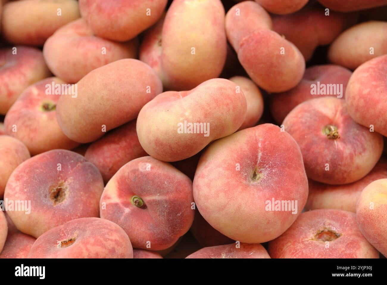 Teller-Pfirsich, Pfirsich , Prunus persica Saturne,, Plate peach, peach Stock Photo