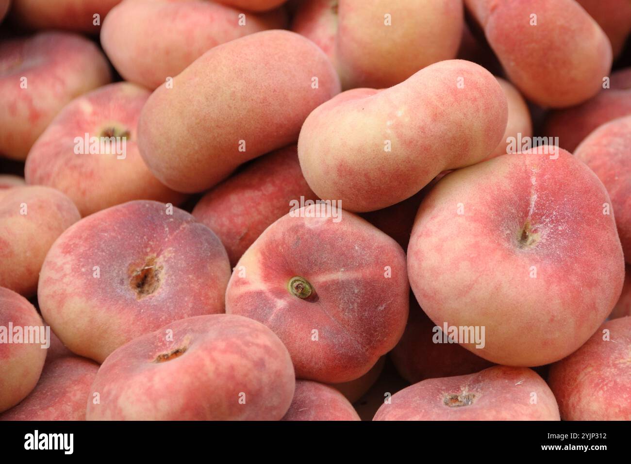 Teller-Pfirsich, Pfirsich , Prunus persica Saturne,, Plate peach, peach Stock Photo