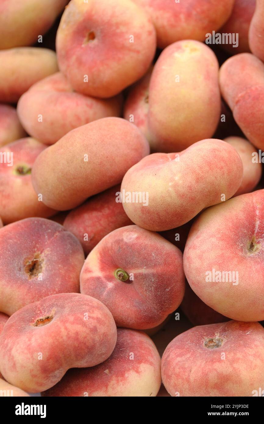 Teller-Pfirsich, Pfirsich , Prunus persica Saturne,, Plate peach, peach Stock Photo