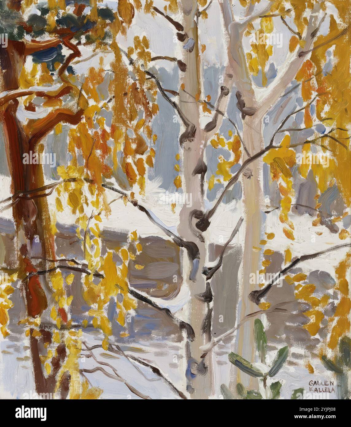 Gallen-Kallela, Akseli, Ensi lumi, oil on canvas, painting, 48 cm x 42 ...