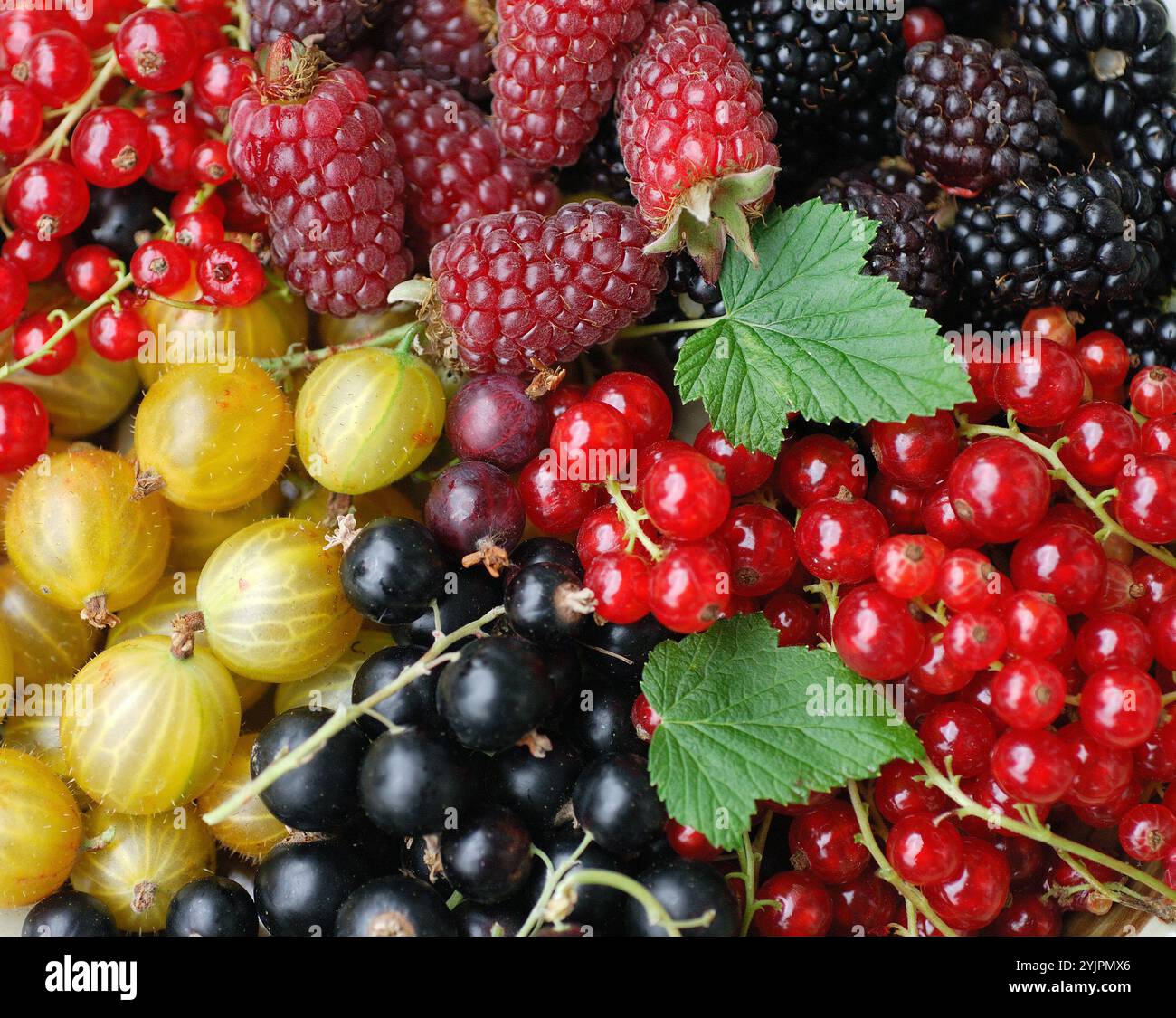 Beerenobst, soft fruit, berries Stock Photo