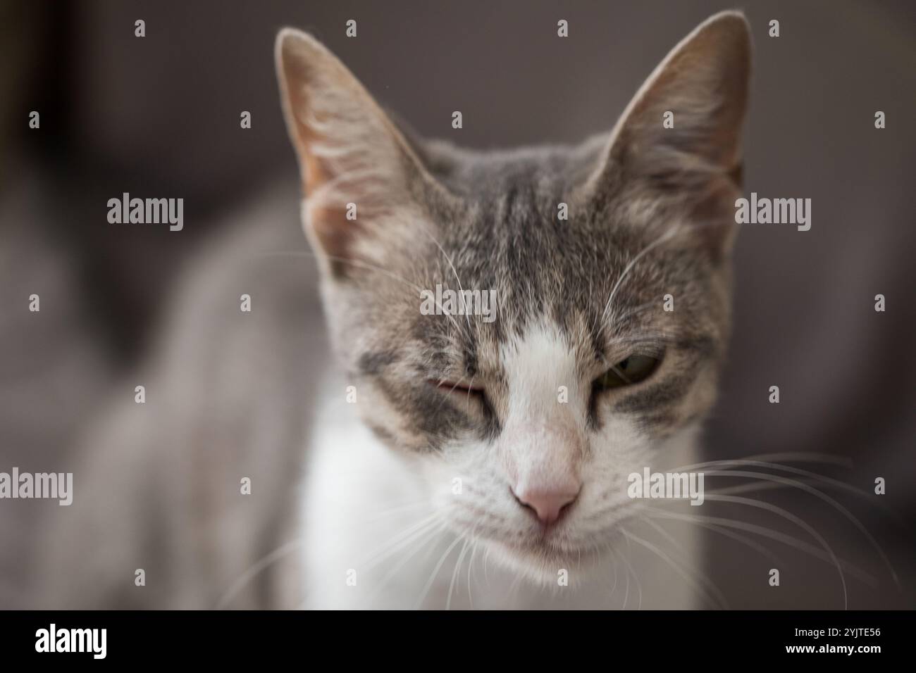 View of Conjunctivitis discharge hi-res stock photography and images - Alamy